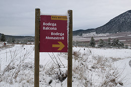 BODEGA MONASTRELL