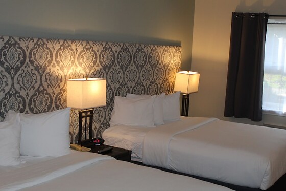 Online Booking EPS - photo 2
