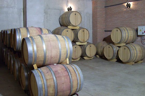 BODEGA MONASTRELL - photo 0