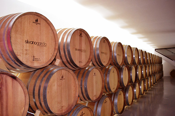 BODEGA SILVANO GARCIA - photo 8