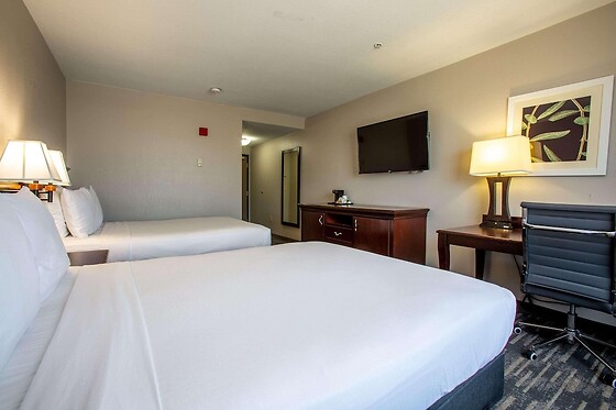 Online Booking EPS - photo 8