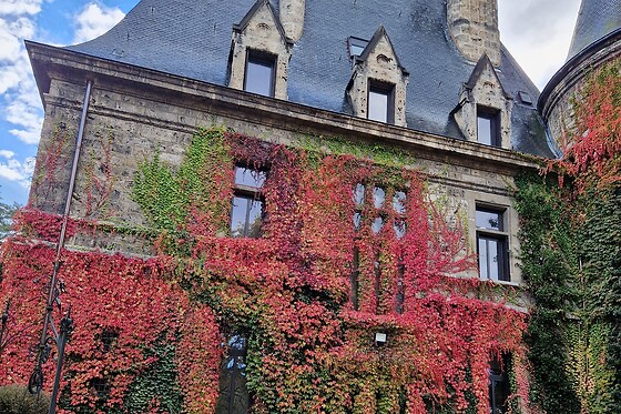 NaturOnaturel - photo 0