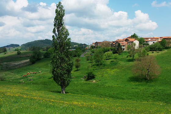 Le Vallon d'Armandine - photo 8