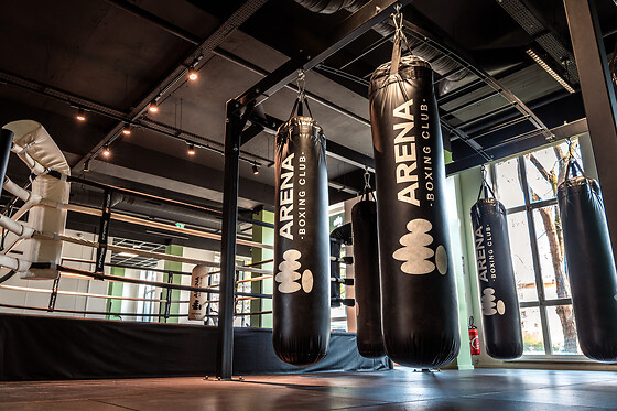 Arena Boxing - photo 1