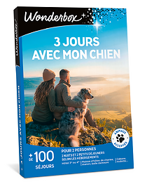 3 jours avec mon chien