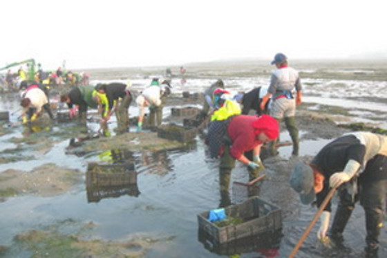 ASOC. CULT. MULLERES DO MAR DE CAMBADOS GUIMATUR (GUIMATUR) - photo 4