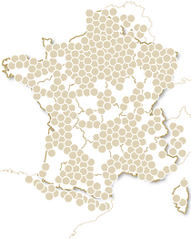 Joyeux Noël Émotion