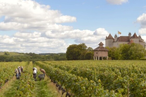 Château Lagrézette - photo 3