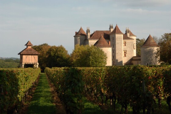 Château Lagrézette - photo 8