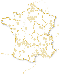 Dîner gastronomique