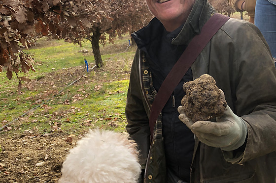 Truffes NJP - photo 2