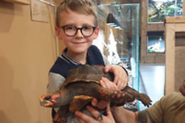 Mike's Reptipark
