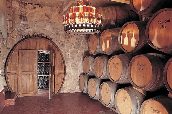 BODEGAS IRACHE - photo 3