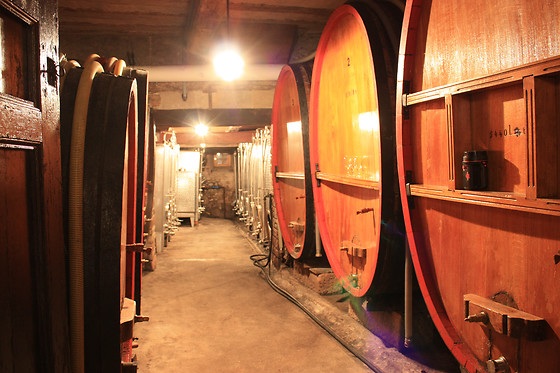 Domaine André Blanck et ses fils - photo 5