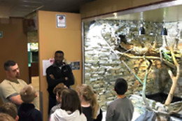 Mike's Reptipark