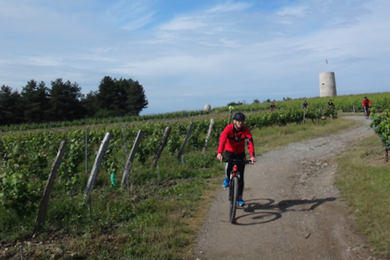 SENSATION VTT - photo 9