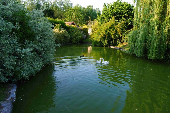 Le Grand Logis - photo 6