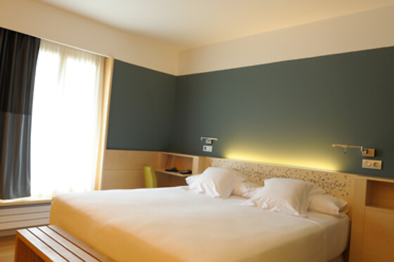 HOTEL RESORT BALNEARIO DE PANTICOSA - photo 21