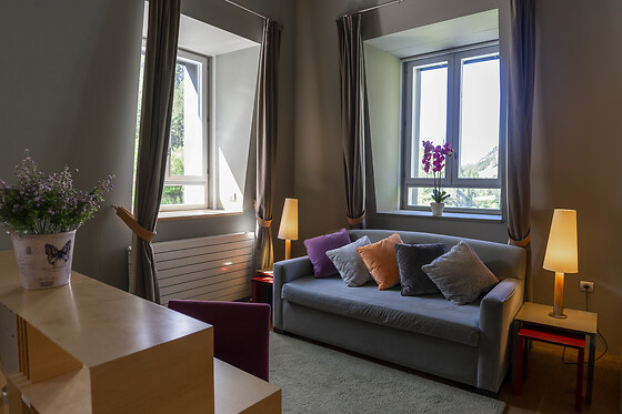 HOTEL RESORT BALNEARIO DE PANTICOSA - photo 14