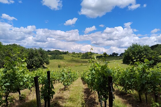 Le Coteau Des Sens - photo 2
