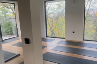Cours de yoga chez Canopée Yoga à Caluire-et-Cuire (69)