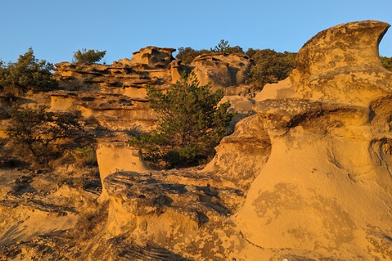 MyViny - photo 2