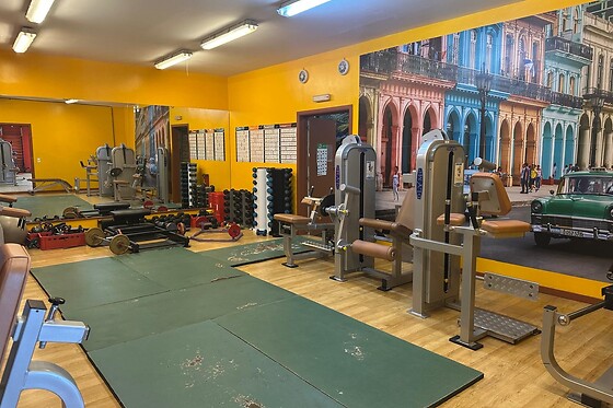Executive Fitness - photo 6