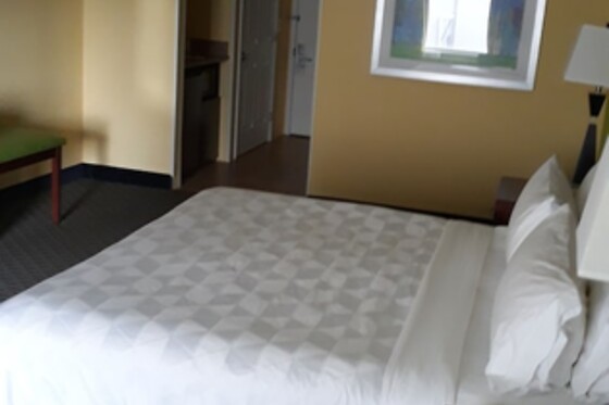 Online Booking EPS - photo 3