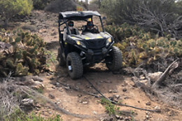 PARADISE BUGGY TENERIFE TOUR