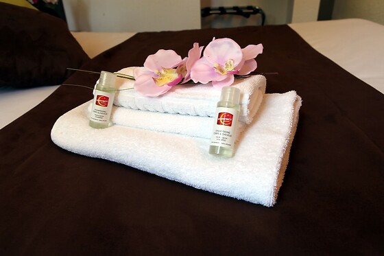 Online Booking EPS - photo 3