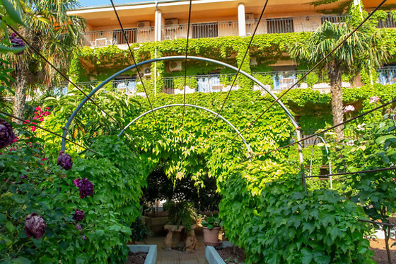 HOSTAL LOS ROSALES - photo 7