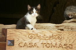 CASA TOMASO