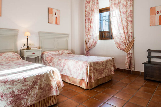 HOTEL PALACIO LAS MANILLAS - photo 4