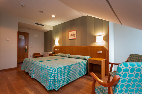 HOTEL ASTURES - photo 5