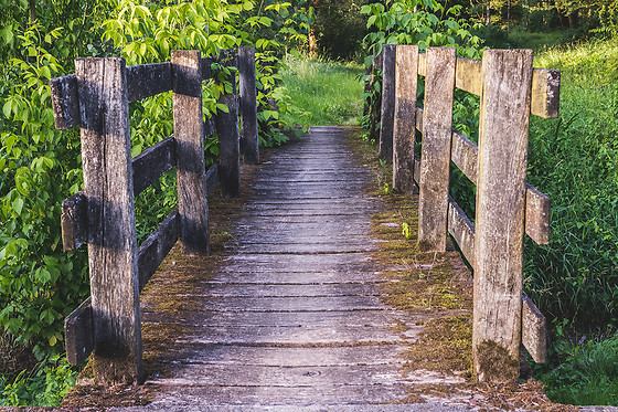 L'escale des châteaux de la loire - photo 13