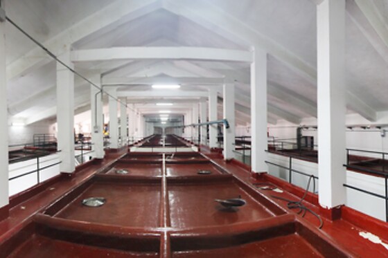 BODEGA SAN ESTEBAN - photo 4