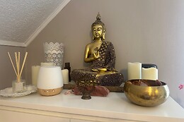 Shodan Essence