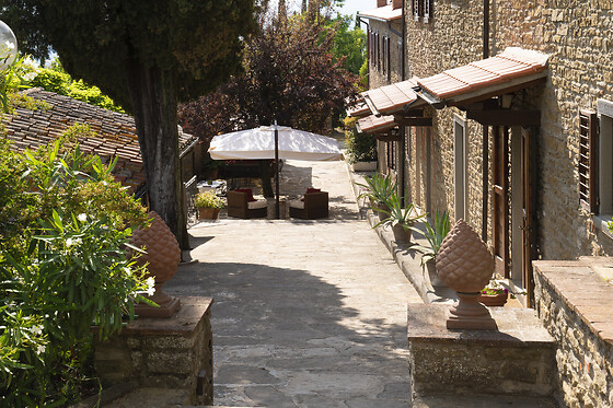 Buccia Nera - photo 4
