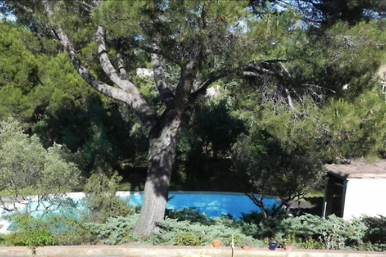Château des Coccinnelles - photo 4