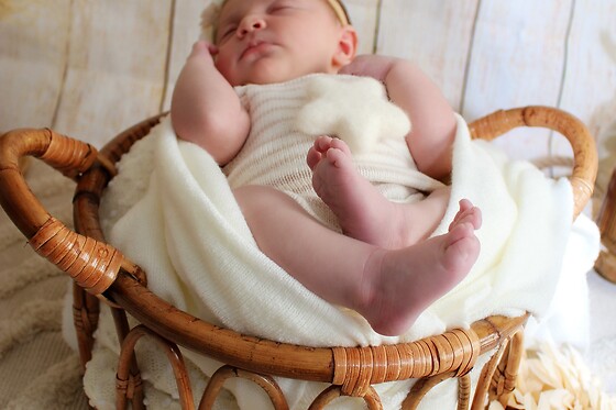 Juju By Photo - photo 4