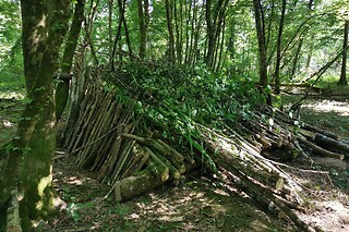 Stage de survie - Atelier Bruni Castor / Camp du Père Castor - Simard (71)