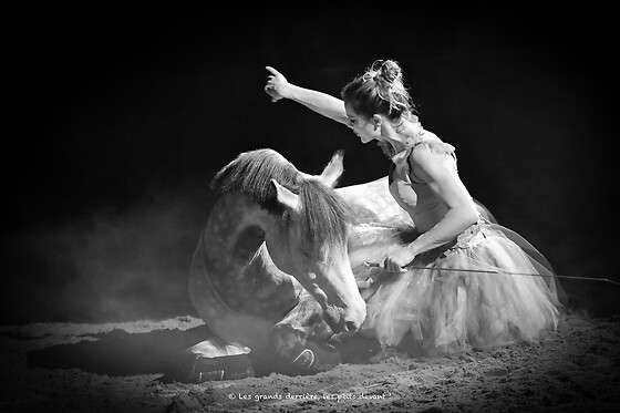 Zagal Cabaret - photo 0