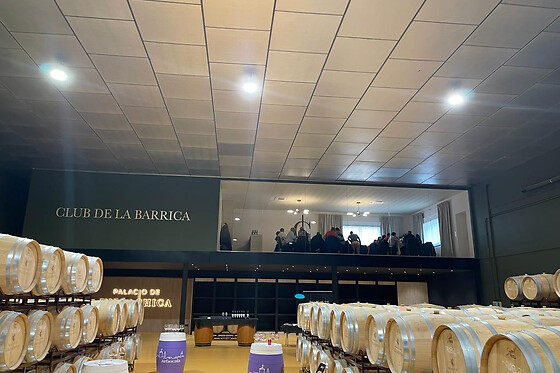 PALACIO DE VILLACHICA - photo 5