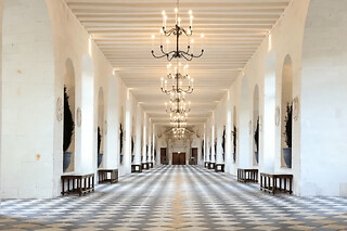 Billet pour le Château de Chenonceau (37)
