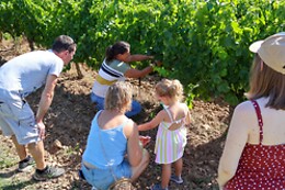 Domaine de Cassagnole