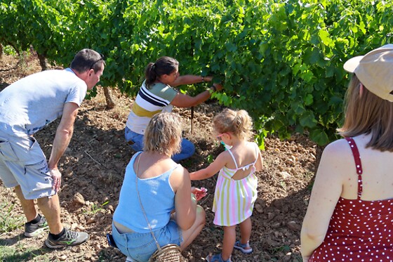 Domaine de Cassagnole - photo 2