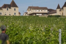 Château Laffitte Teston