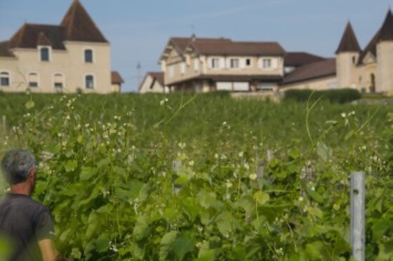 Château Laffitte Teston - photo 4