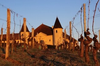 Un escape game œnologique pour 5 - Château Laffitte-Teston - Maumusson (32)