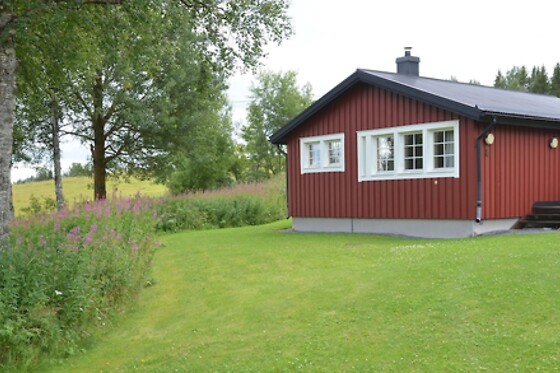 Online Booking EPS - photo 0
